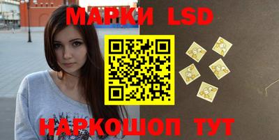 МДПВ Можга