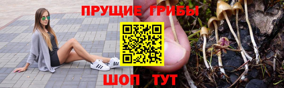 Галлюциногенные грибы мицелий Сибай