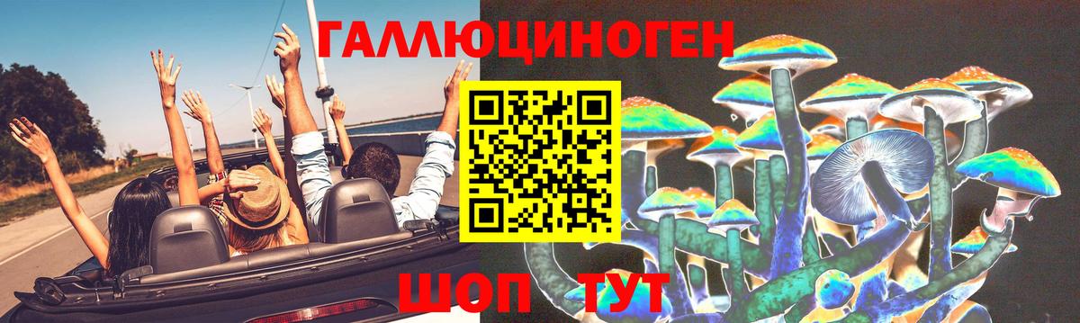 Сибай  Галлюциногенные грибы GOLDEN TEACHER  Галлюциногенные грибы прущие грибы  Вход с VPN 